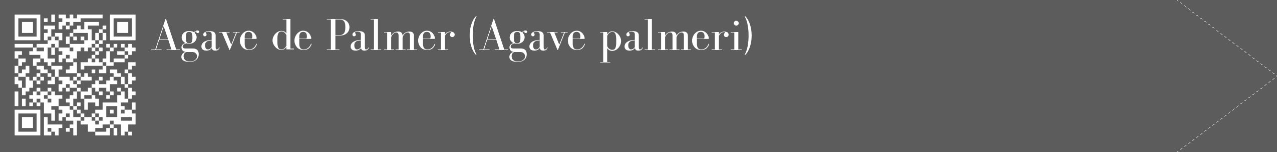 Étiquette de : Agave palmeri - format c - style blanche49_simple_simplebod avec qrcode et comestibilité