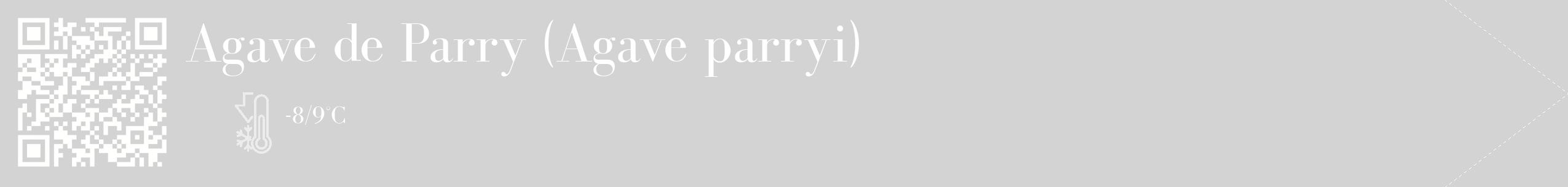 Étiquette de : Agave parryi - format c - style blanche56_simple_simplebod avec qrcode et comestibilité