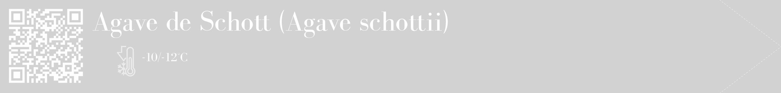 Étiquette de : Agave schottii - format c - style blanche14_simple_simplebod avec qrcode et comestibilité