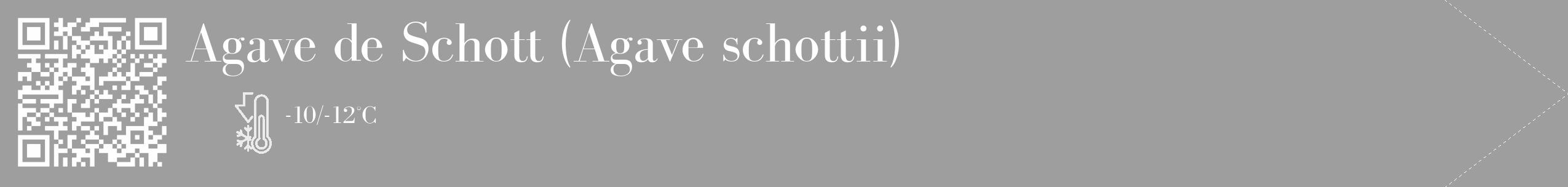 Étiquette de : Agave schottii - format c - style blanche42_simple_simplebod avec qrcode et comestibilité