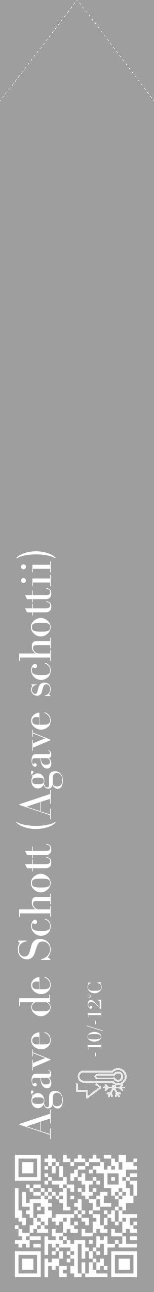 Étiquette de : Agave schottii - format c - style blanche42_simple_simplebod avec qrcode et comestibilité - position verticale