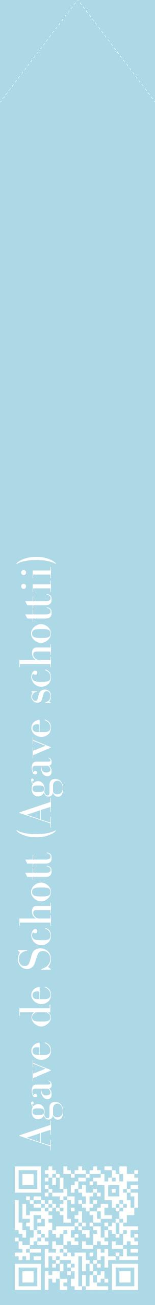 Étiquette de : Agave schottii - format c - style blanche0_simplebod avec qrcode et comestibilité