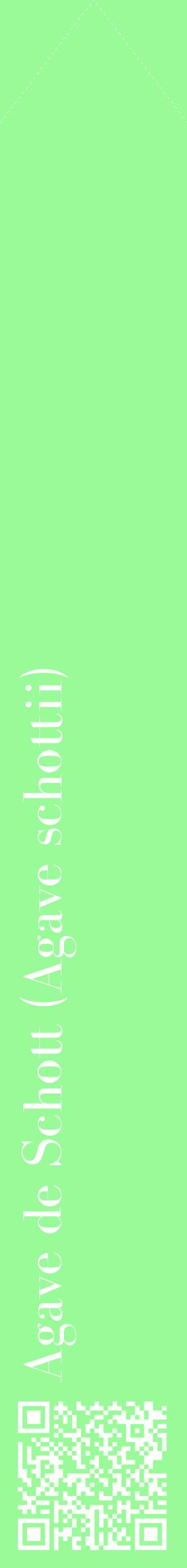 Étiquette de : Agave schottii - format c - style blanche14_simplebod avec qrcode et comestibilité