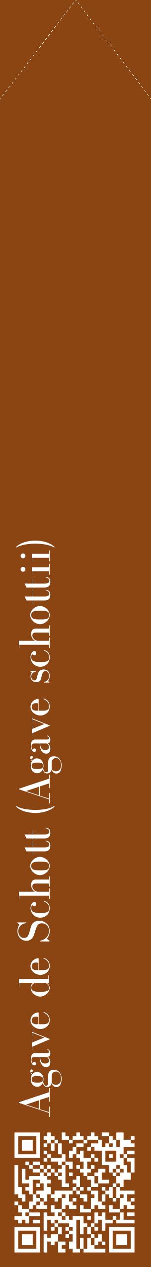 Étiquette de : Agave schottii - format c - style blanche30_simplebod avec qrcode et comestibilité