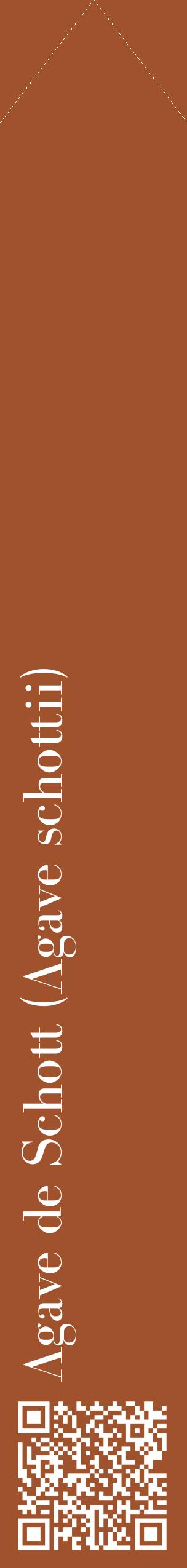 Étiquette de : Agave schottii - format c - style blanche32_simplebod avec qrcode et comestibilité
