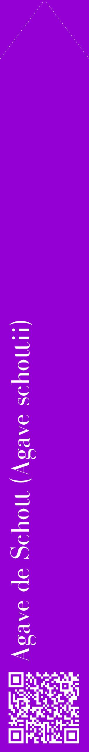 Étiquette de : Agave schottii - format c - style blanche48_simplebod avec qrcode et comestibilité
