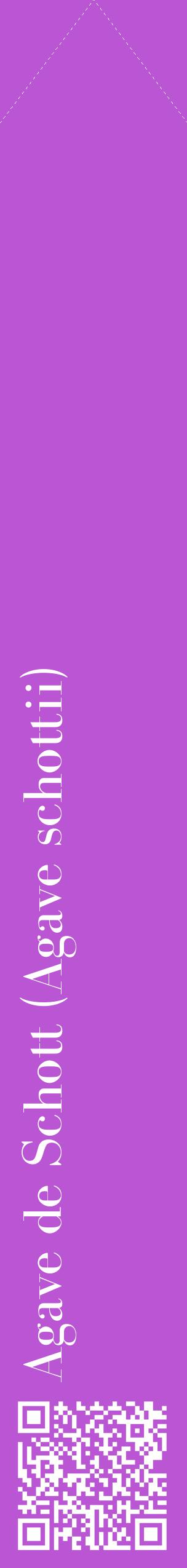Étiquette de : Agave schottii - format c - style blanche50_simplebod avec qrcode et comestibilité