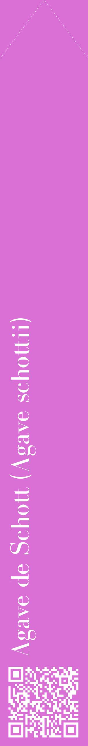 Étiquette de : Agave schottii - format c - style blanche52_simplebod avec qrcode et comestibilité