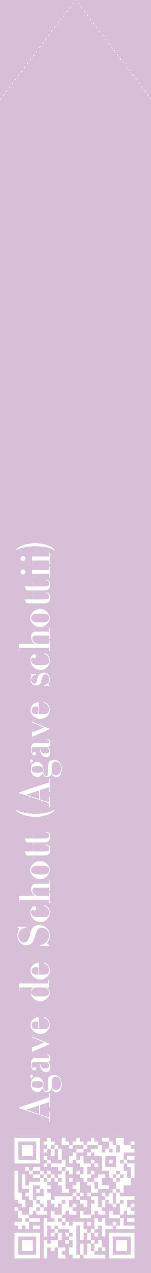 Étiquette de : Agave schottii - format c - style blanche54_simplebod avec qrcode et comestibilité