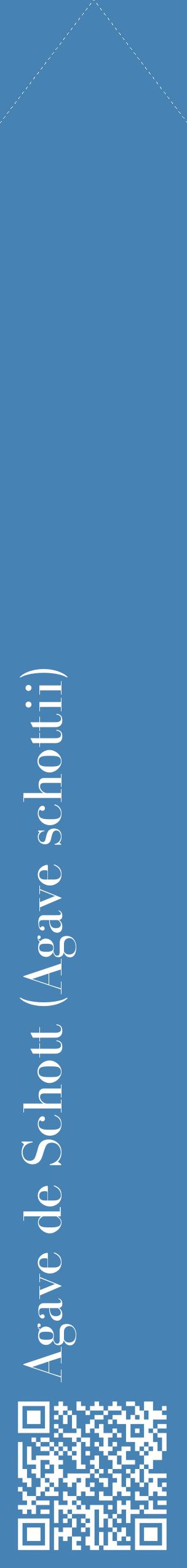 Étiquette de : Agave schottii - format c - style blanche5_simplebod avec qrcode et comestibilité