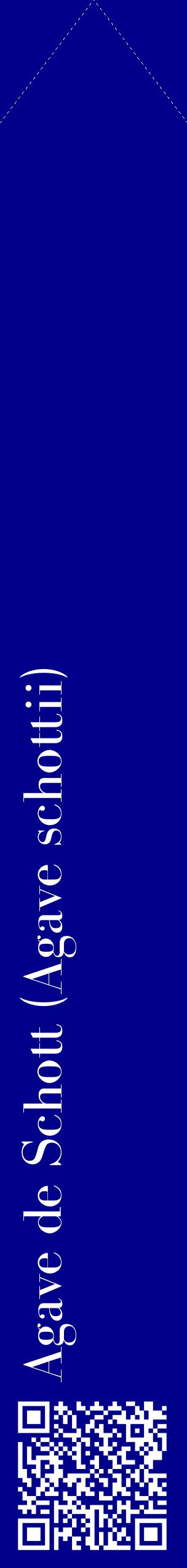 Étiquette de : Agave schottii - format c - style blanche7_simplebod avec qrcode et comestibilité