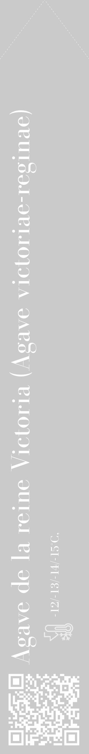 Étiquette de : Agave victoriae-reginae - format c - style blanche21_simple_simplebod avec qrcode et comestibilité - position verticale