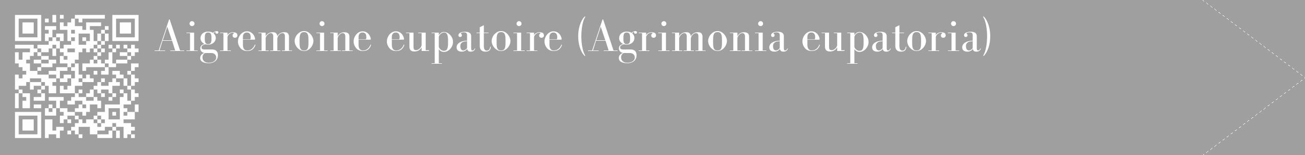 Étiquette de : Agrimonia eupatoria - format c - style blanche24_simple_simplebod avec qrcode et comestibilité