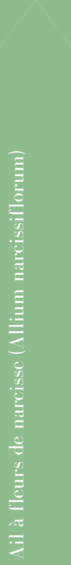 Étiquette de : Allium narcissiflorum - format c - style blanche13_simplebod avec comestibilité