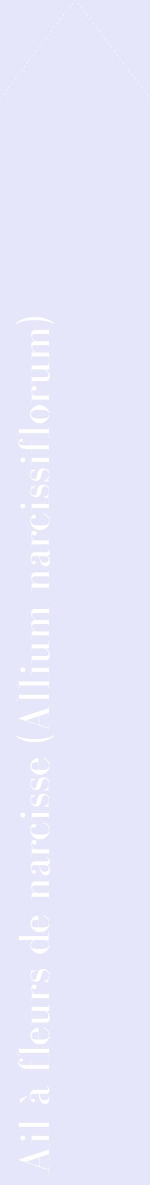 Étiquette de : Allium narcissiflorum - format c - style blanche55_simplebod avec comestibilité