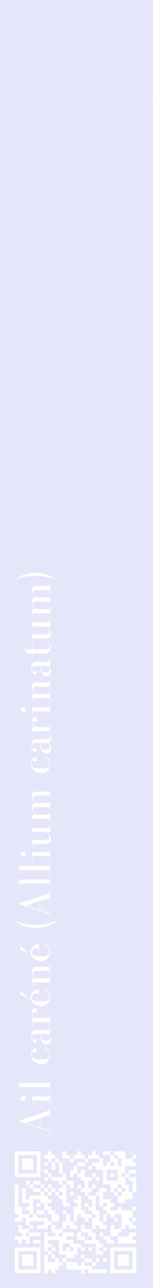 Étiquette de : Allium carinatum - format c - style blanche55_simplebod avec qrcode et comestibilité