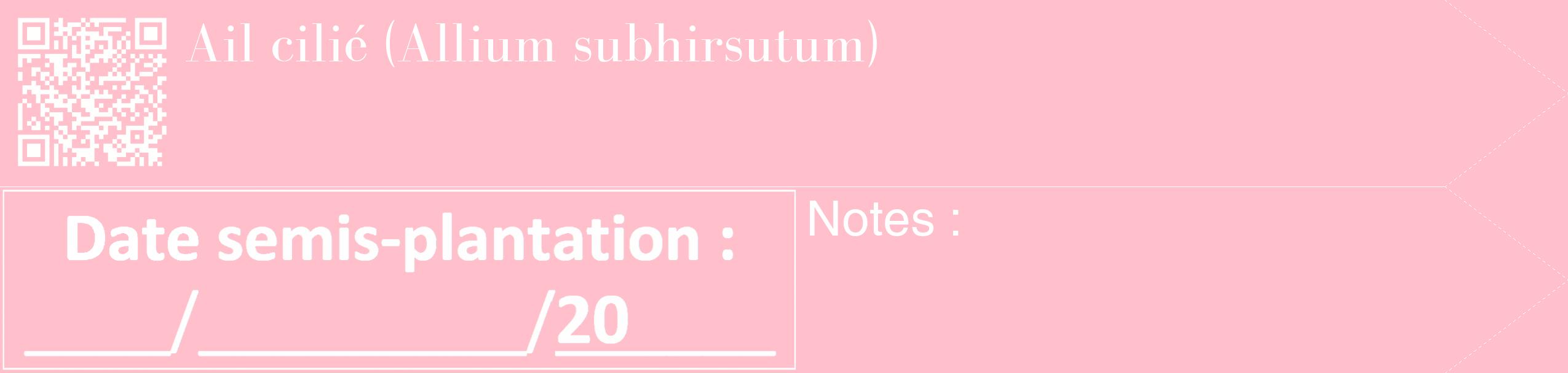 Étiquette de : Allium subhirsutum - format c - style blanche40_simple_simplebod avec qrcode et comestibilité