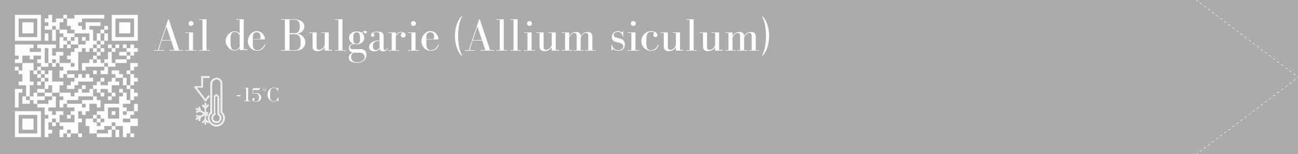 Étiquette de : Allium siculum - format c - style blanche37_simple_simplebod avec qrcode et comestibilité