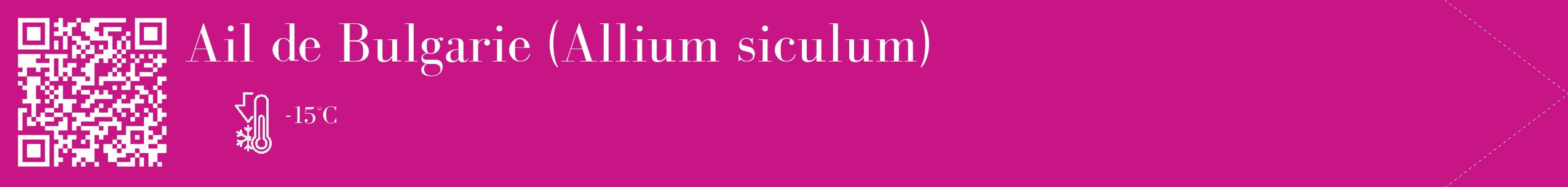 Étiquette de : Allium siculum - format c - style blanche45_simple_simplebod avec qrcode et comestibilité