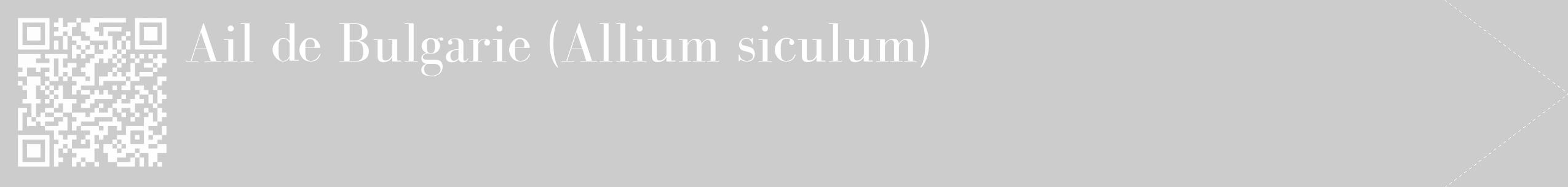 Étiquette de : Allium siculum - format c - style blanche0_simple_simplebod avec qrcode et comestibilité