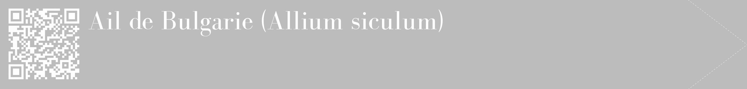 Étiquette de : Allium siculum - format c - style blanche1_simple_simplebod avec qrcode et comestibilité