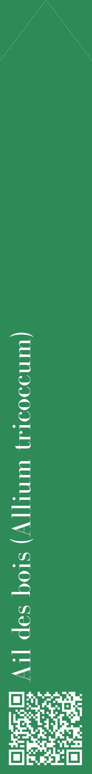 Étiquette de : Allium tricoccum - format c - style blanche11_simplebod avec qrcode et comestibilité