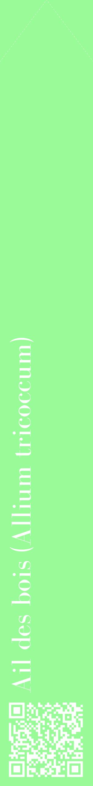 Étiquette de : Allium tricoccum - format c - style blanche14_simplebod avec qrcode et comestibilité