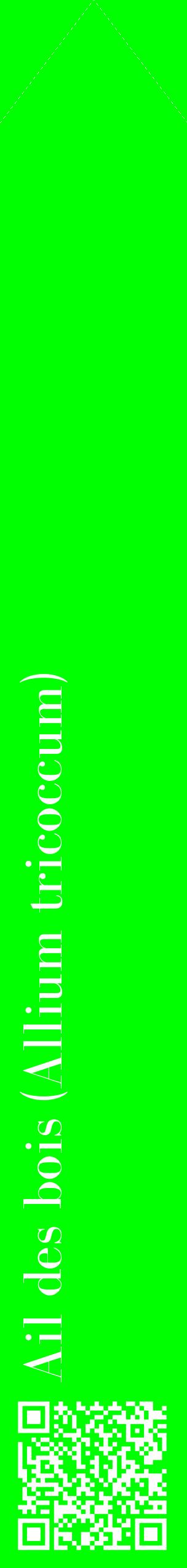 Étiquette de : Allium tricoccum - format c - style blanche16_simplebod avec qrcode et comestibilité