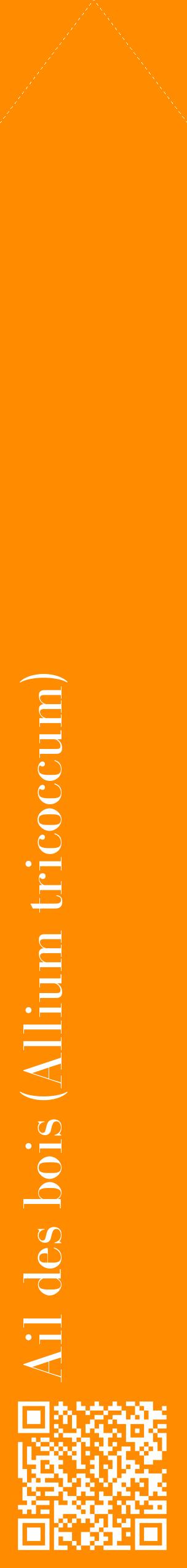 Étiquette de : Allium tricoccum - format c - style blanche23_simplebod avec qrcode et comestibilité