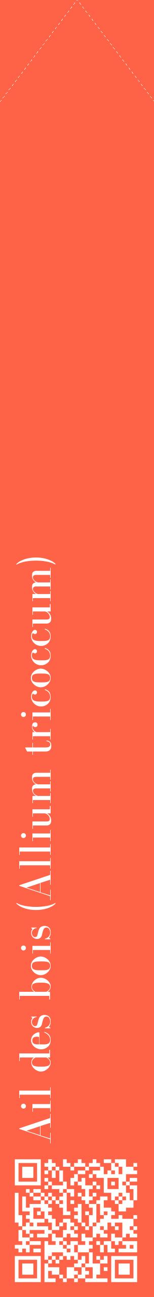 Étiquette de : Allium tricoccum - format c - style blanche25_simplebod avec qrcode et comestibilité