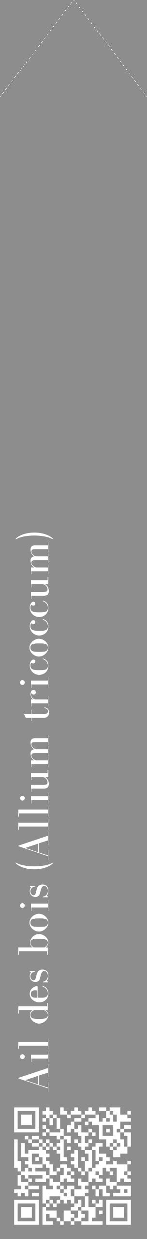 Étiquette de : Allium tricoccum - format c - style blanche2_simple_simplebod avec qrcode et comestibilité - position verticale