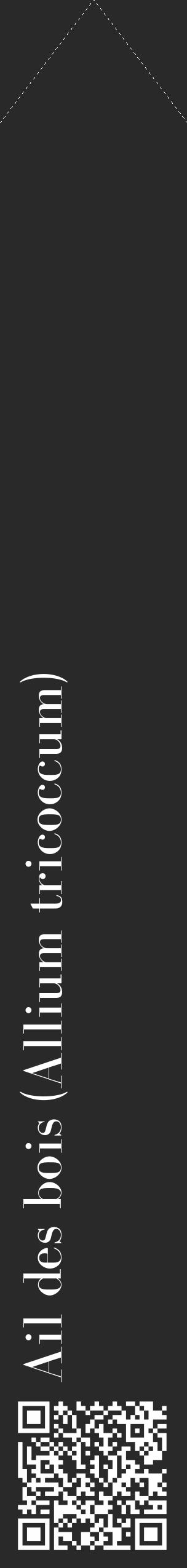 Étiquette de : Allium tricoccum - format c - style blanche34_simple_simplebod avec qrcode et comestibilité - position verticale