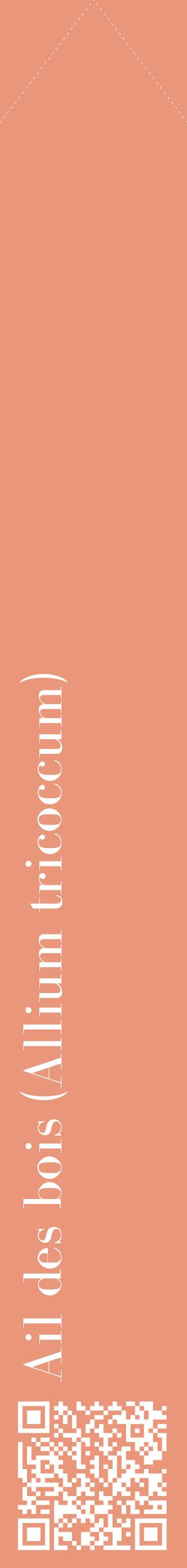 Étiquette de : Allium tricoccum - format c - style blanche37_simplebod avec qrcode et comestibilité