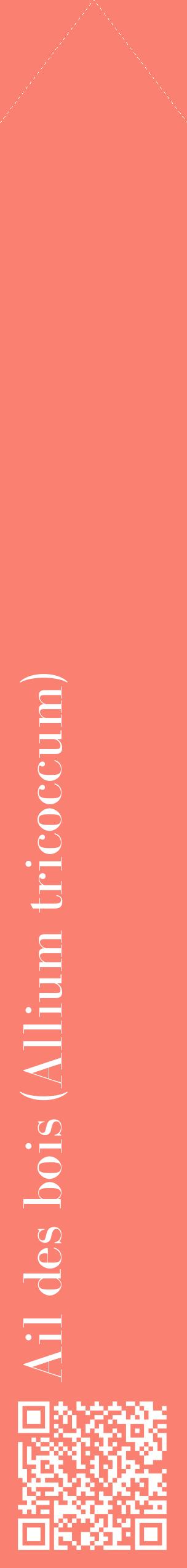 Étiquette de : Allium tricoccum - format c - style blanche38_simplebod avec qrcode et comestibilité