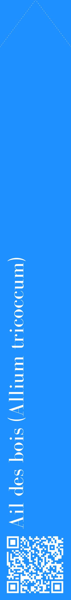 Étiquette de : Allium tricoccum - format c - style blanche3_simplebod avec qrcode et comestibilité