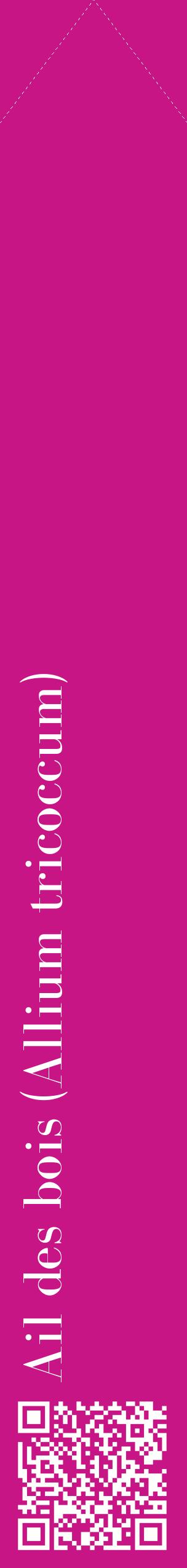 Étiquette de : Allium tricoccum - format c - style blanche45_simplebod avec qrcode et comestibilité