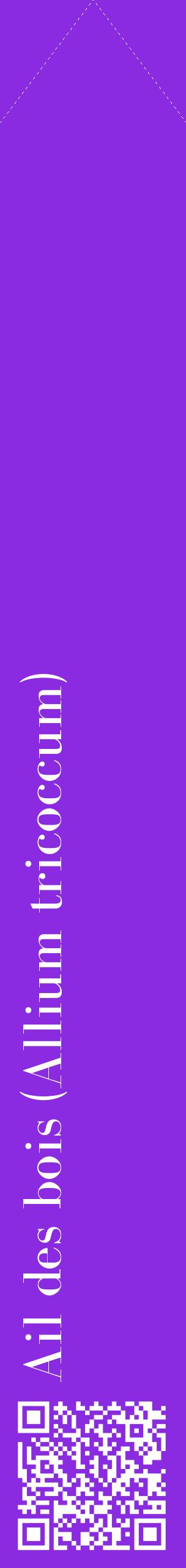 Étiquette de : Allium tricoccum - format c - style blanche49_simplebod avec qrcode et comestibilité