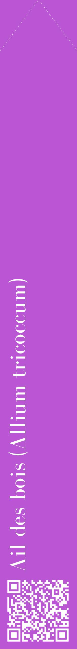 Étiquette de : Allium tricoccum - format c - style blanche50_simplebod avec qrcode et comestibilité