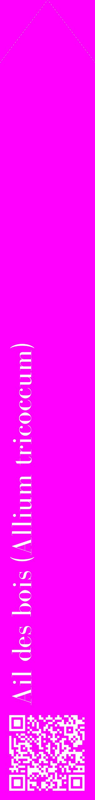 Étiquette de : Allium tricoccum - format c - style blanche51_simplebod avec qrcode et comestibilité