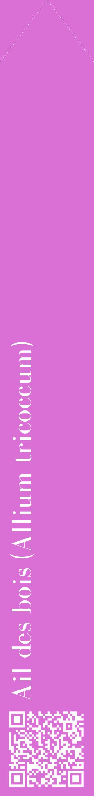 Étiquette de : Allium tricoccum - format c - style blanche52_simplebod avec qrcode et comestibilité