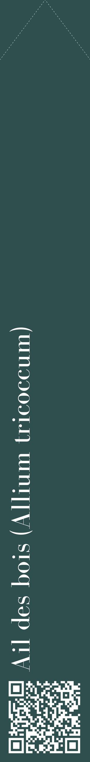 Étiquette de : Allium tricoccum - format c - style blanche58_simplebod avec qrcode et comestibilité
