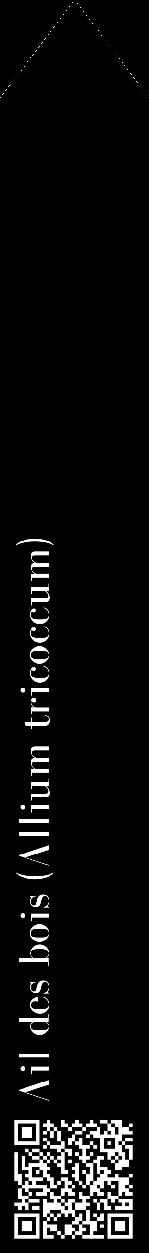 Étiquette de : Allium tricoccum - format c - style blanche59_simplebod avec qrcode et comestibilité