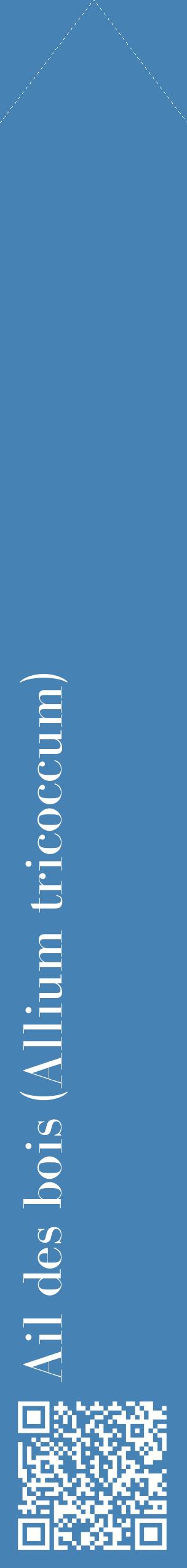 Étiquette de : Allium tricoccum - format c - style blanche5_simplebod avec qrcode et comestibilité