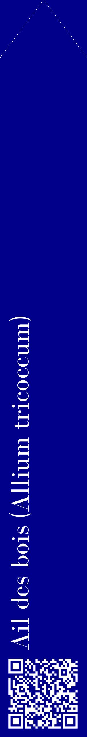 Étiquette de : Allium tricoccum - format c - style blanche7_simplebod avec qrcode et comestibilité