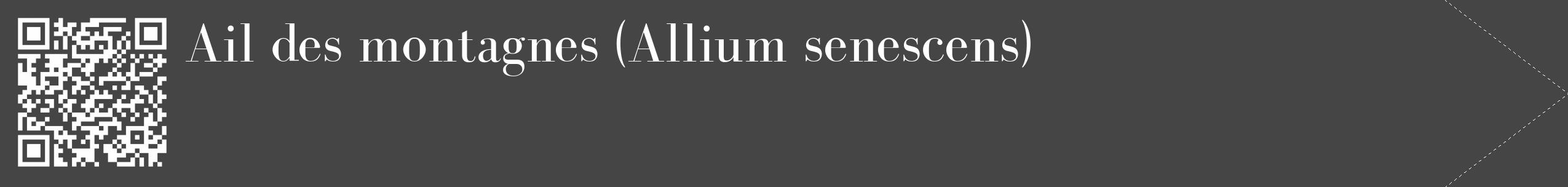 Étiquette de : Allium senescens - format c - style blanche58_simple_simplebod avec qrcode et comestibilité