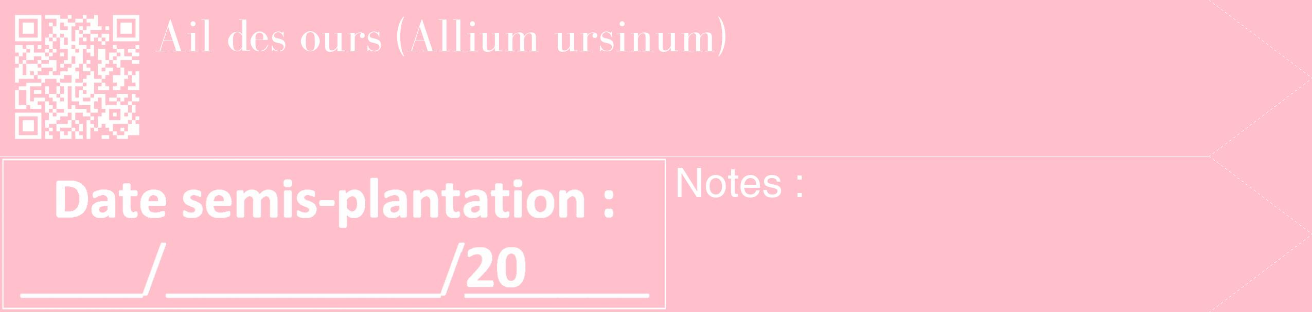 Étiquette de : Allium ursinum - format c - style blanche40_simple_simplebod avec qrcode et comestibilité