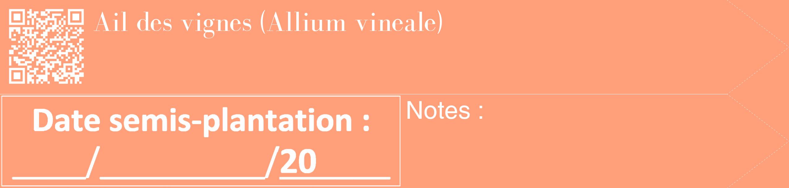 Étiquette de : Allium vineale - format c - style blanche39_simple_simplebod avec qrcode et comestibilité