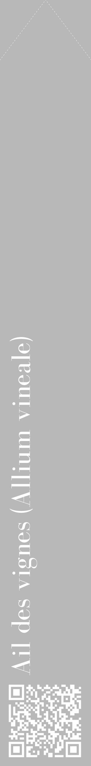 Étiquette de : Allium vineale - format c - style blanche39_simple_simplebod avec qrcode et comestibilité - position verticale