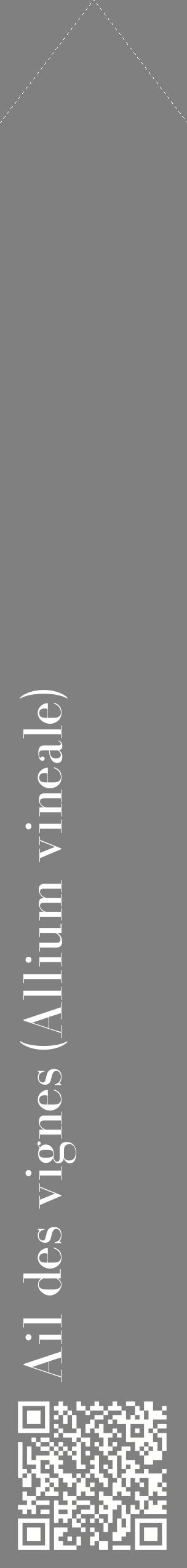Étiquette de : Allium vineale - format c - style blanche57_simplebod avec qrcode et comestibilité