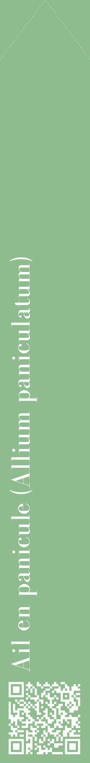 Étiquette de : Allium paniculatum - format c - style blanche13_simplebod avec qrcode et comestibilité